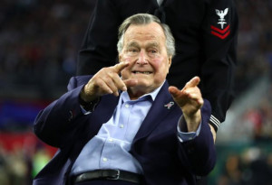 bush