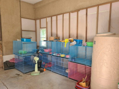 ชาวบ้านสุดทนร้องบ้านเลี้ยงแมวเกือบ 200 ตัวส่งกลิ่นเหม็นคละคลุ้ง - โลกวันนี้ nb4 - ชาวบ้านสุดทนร้องบ้านเลี้ยงแมวเกือบ 200 ตัวส่งกลิ่นเหม็นคละคลุ้ง - โลกวันนี้
