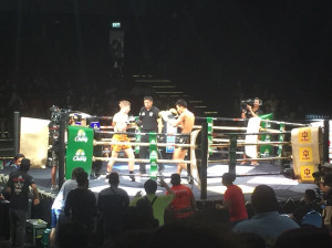 MuaythaiKnockOut (1)