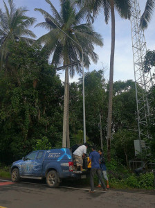 dtac_8428