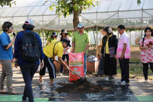 World soil day (3)