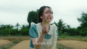 ผัก1